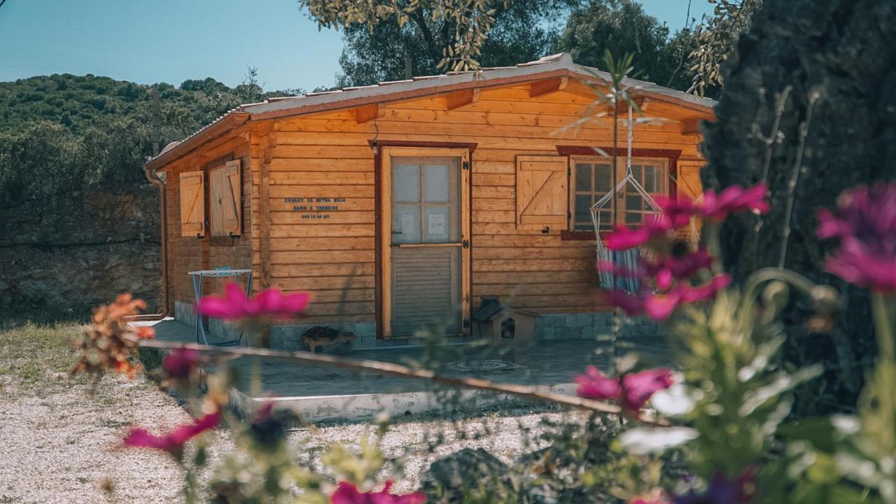 Chalet Sa Petra Ruja - Gadu E Tremene Siniscola Buitenkant foto