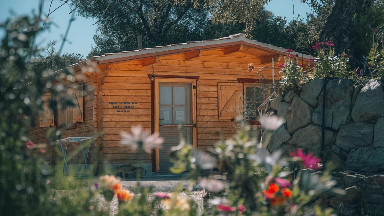 Chalet Sa Petra Ruja - Gadu E Tremene Siniscola Buitenkant foto